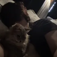 Elio