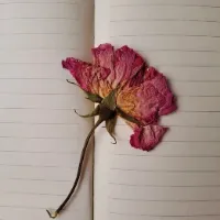 رها رها