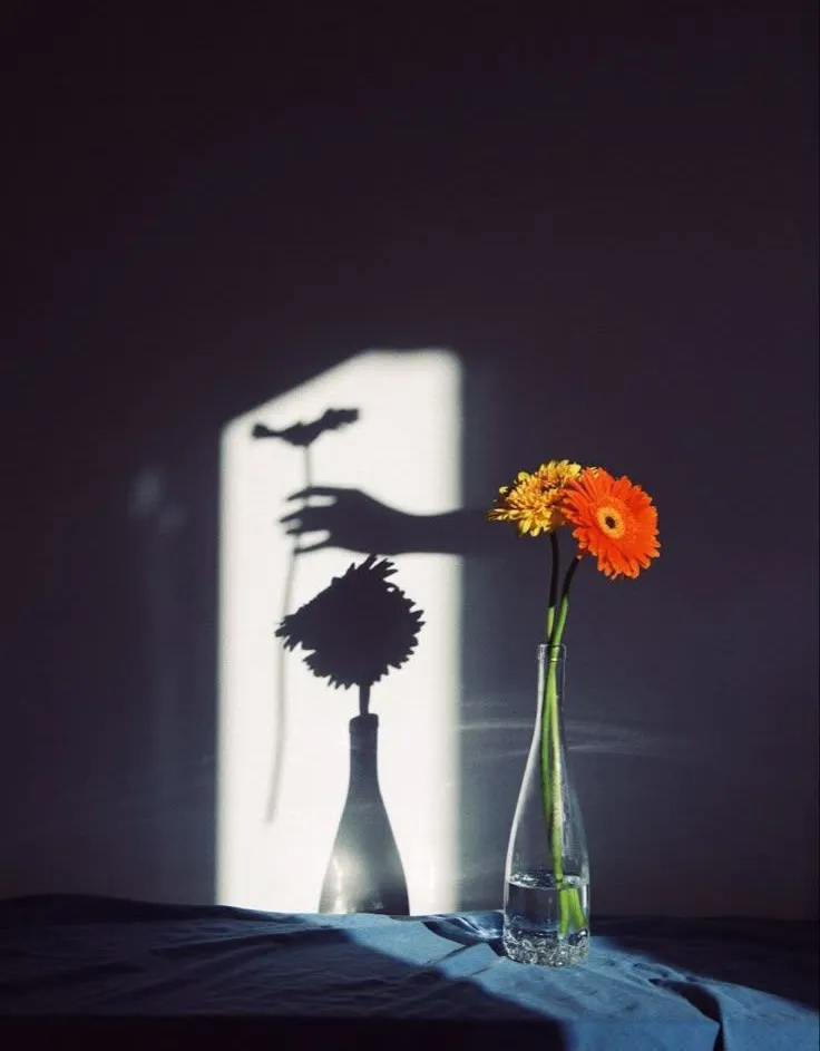 غریبه