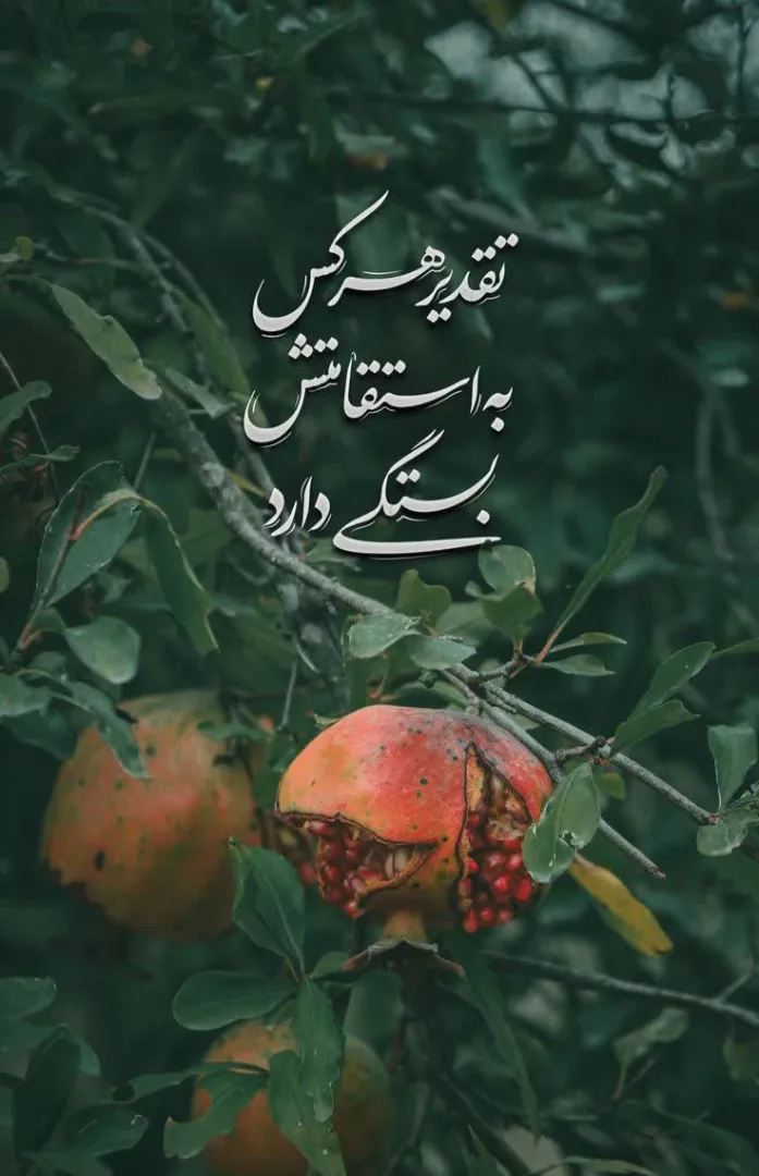روز بیست و هفتم