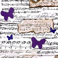 Clousic Blossom…☁️🎶🌸