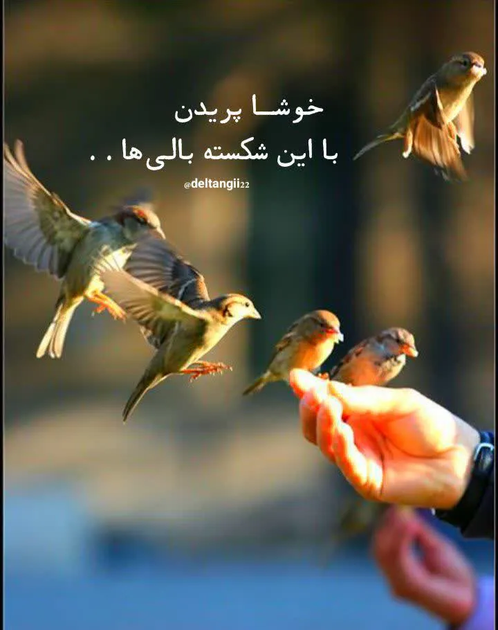 به لحظه های حساس نزدیک می شویم!