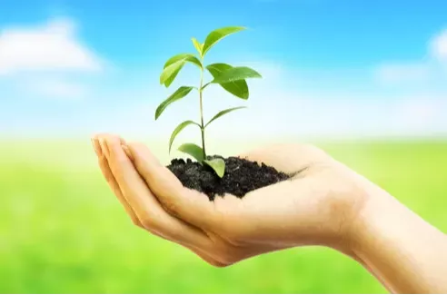 آدمی به امید زنده است