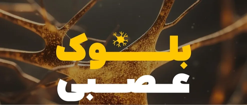بلوک عصبی(جنین شناسی و بافت شناسی)