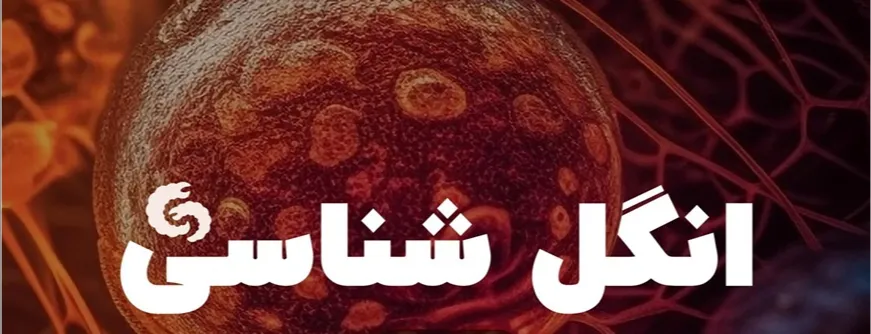 انگل شناسی