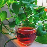 تصویر وبلاگ یادداشتهای ساغر
