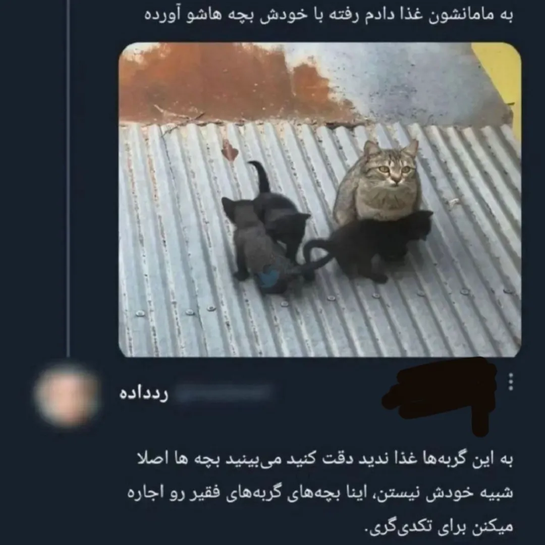 رد داده واقعی/
