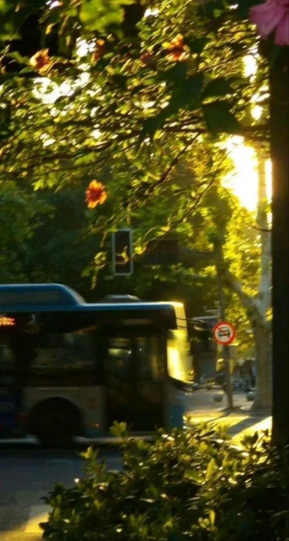 غروب سبز