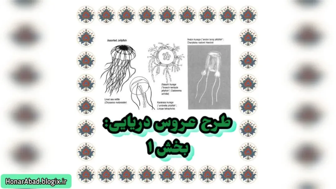 طرح عروس دریایی: بخش 1