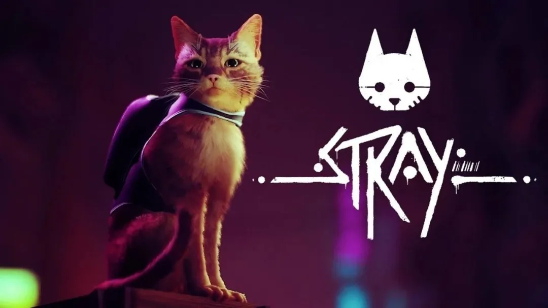 🎮دانلود ترینر بازی Stray