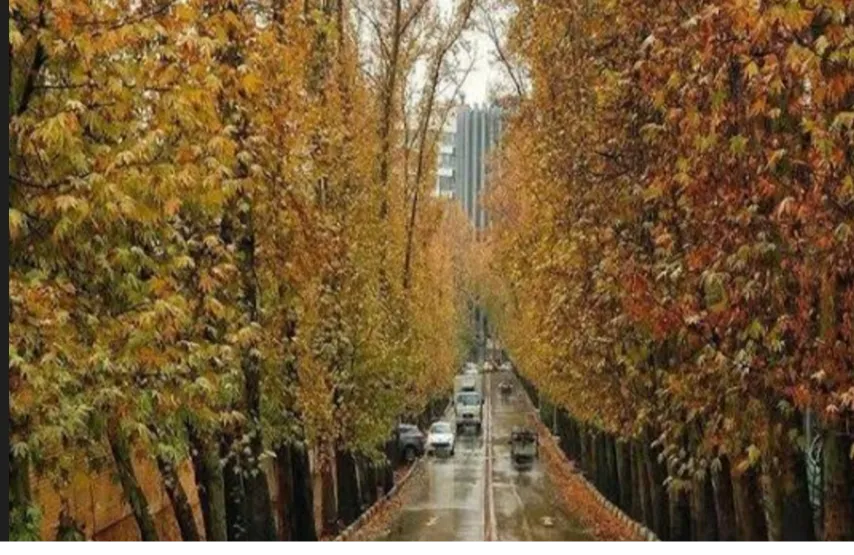 پاییز یخبندان و پر بارش
