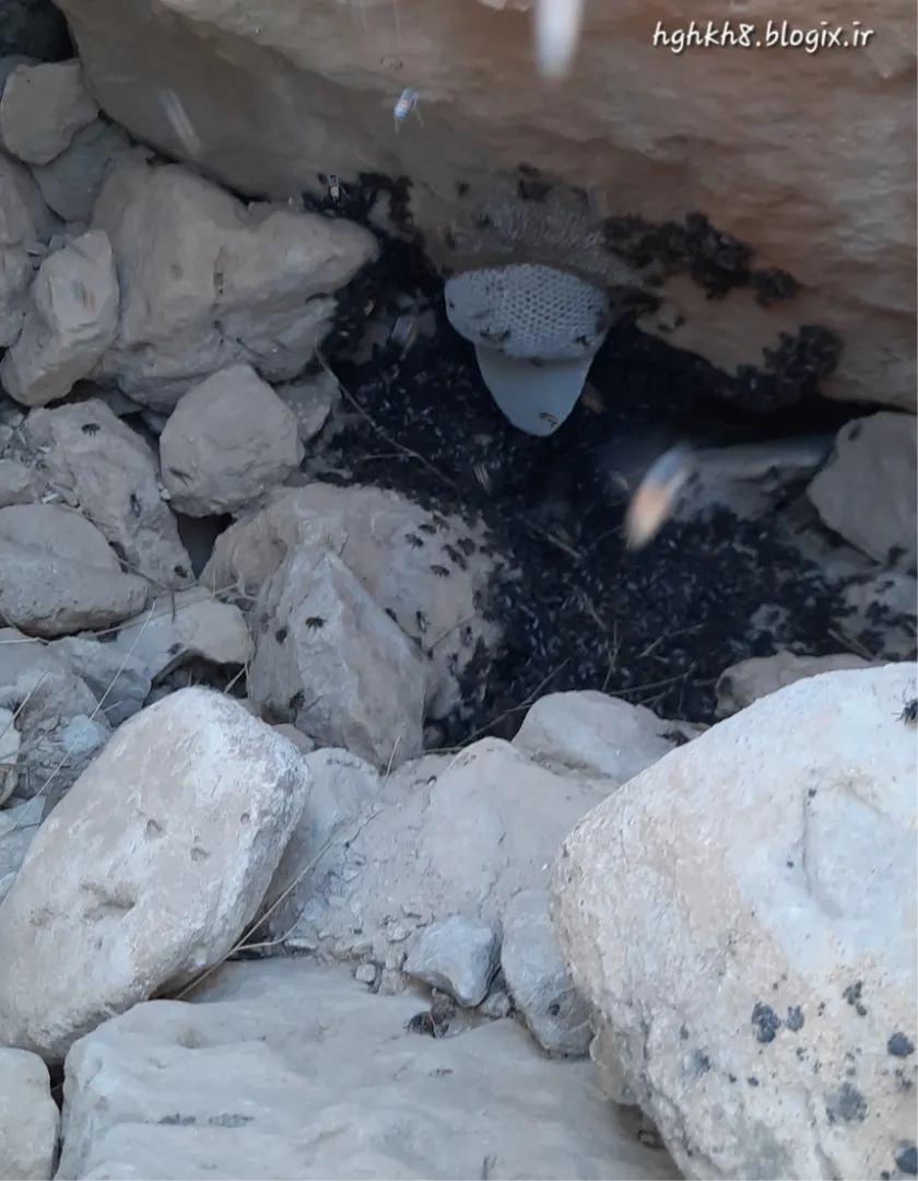 کندوی در دل کوه