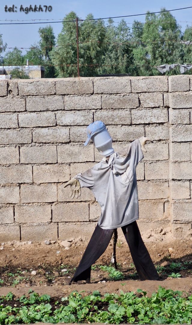 مترسک