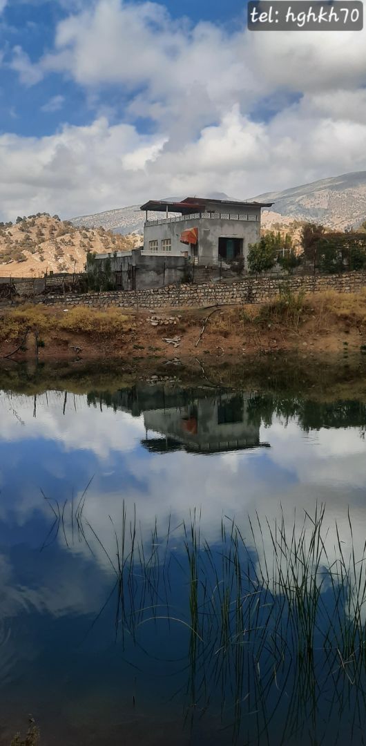 انعکاس در آب