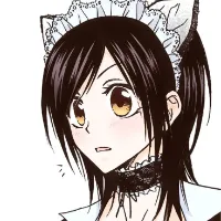 Myow Blog
