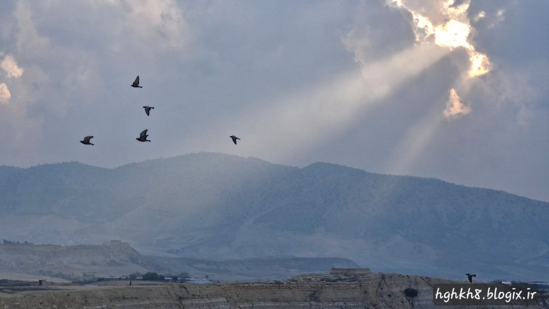 کبوتر در آسمان