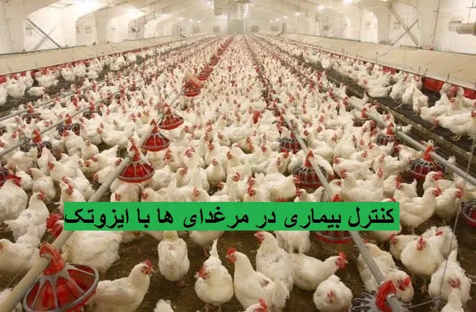 تصویر هدر 3