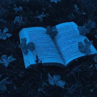 و اینجا قلم است که سخن میگوید ...🌿