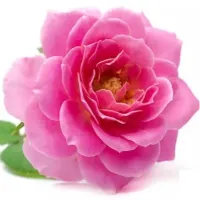 مهدی