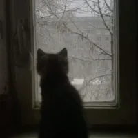 선율