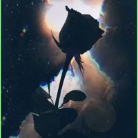 Black rose•||•رزسیاه!:)