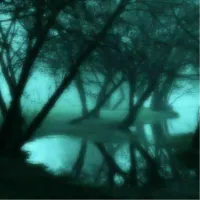 دارک وب(ادامه)