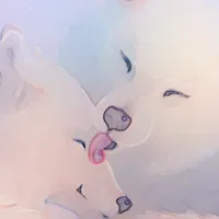 براق کده ✨