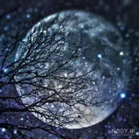 تصویر پروفایل 🌙 🪐 Moon 🪐 🌙