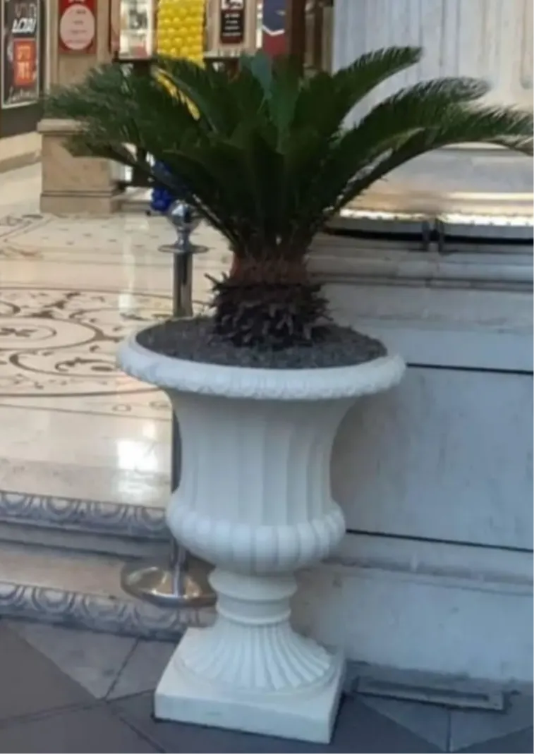 گلدان محوطه ای فایبرگلاس برای استفاده در محوطه باغ ویلا