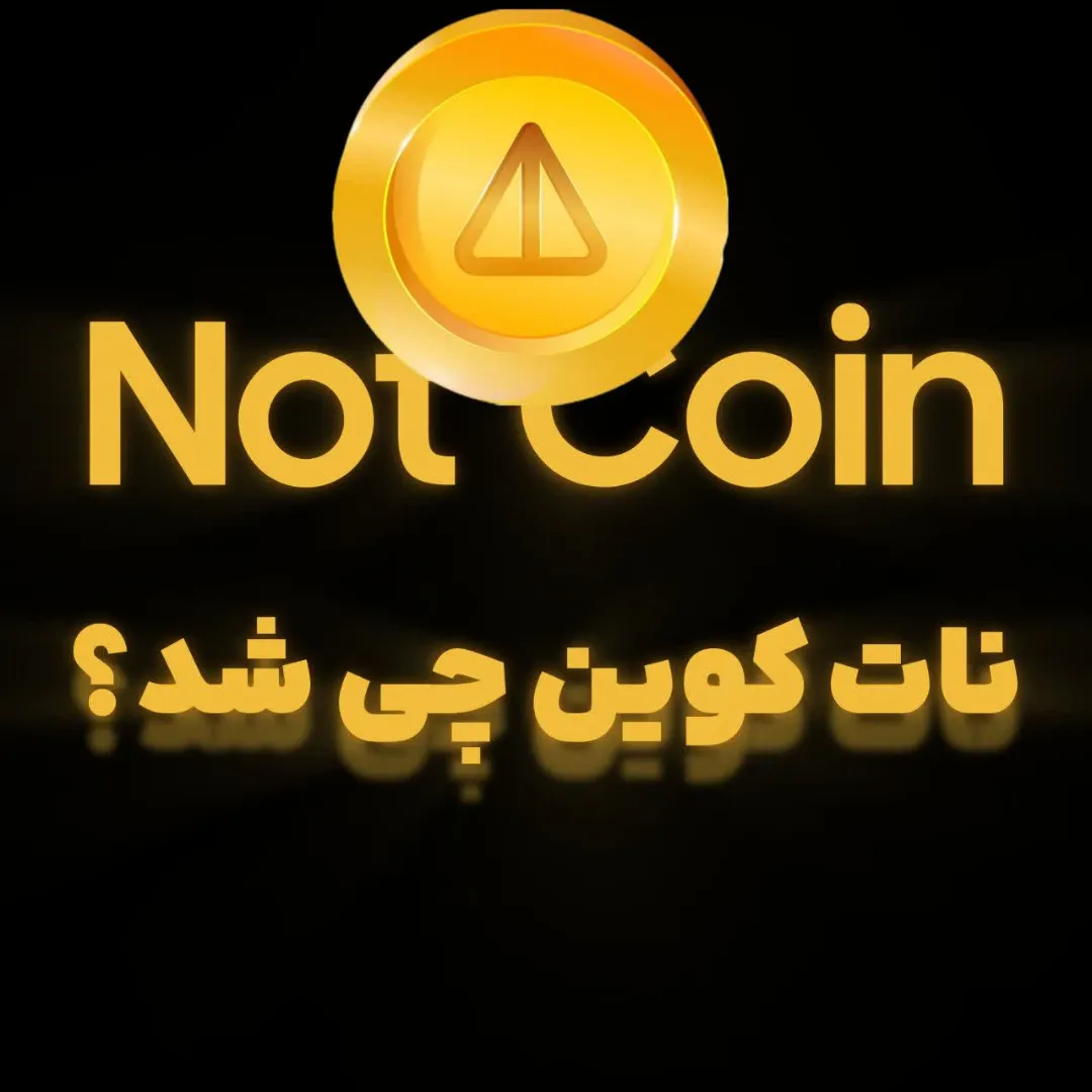 نات کوین چی شد؟