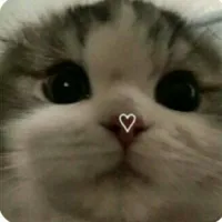 🐾گربا کد🐾