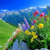 تنهایی