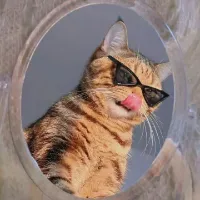 𝗝𝗮𝗻𝗮⛥𝗧𝗮𝗻𝗵𝗮