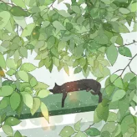 엔젤스 발레🌸
