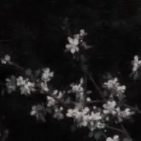 اسم داستان من