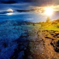OMID ODRIFRD