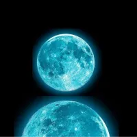 The Moon