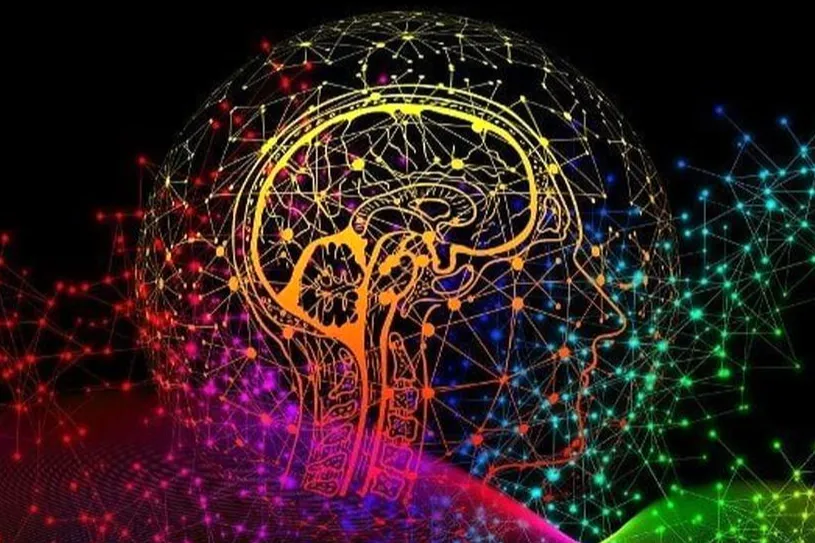 مقاله/مغز انسان، یک نوع کامپیوتر کوانتومی طبیعی است؟