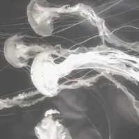 𝓘𝓽'𝓼 𝓸𝓴