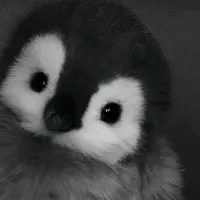 sarina (: