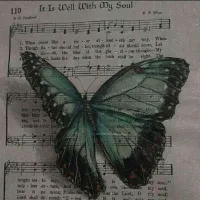 پَـروآنـهِٓ هـا!