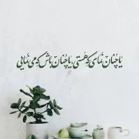 تصویر کاربر ⏯️ ایلیا 🎶 ⚽