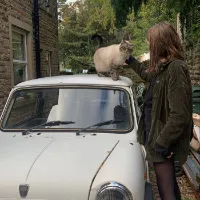 تصویر کاربر 🕊️♫ 𝓢𝓪𝓶𝓲𝓮𝔂𝓮𝓱