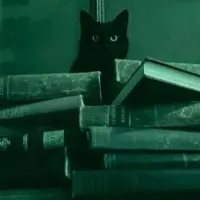 «رویای زخمی»