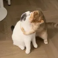 تصویر وبلاگ ˚⊱ایالات متحده بلاگیکس⊰˚