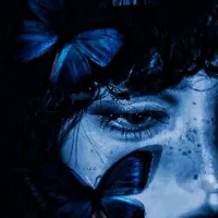 ♡♬[灰色の蝶]♬♡