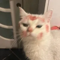 تصویر وبلاگ ˚⊱ایالات متحده بلاگیکس⊰˚