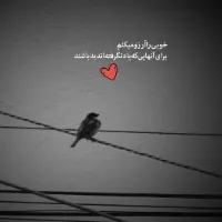 تصویر کاربر ⏯️ ilia 💙