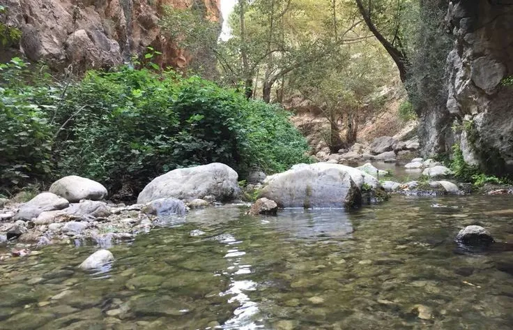 باغملک؛ جان خوزستان | ۲۰ سوال کلیدی درمورد باغملک