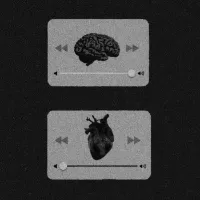 𝐸𝒸𝒸𝑒𝒹𝑒𝓃𝓉𝑒𝓈𝒾𝒶